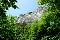 Гора Ай-Петри - перевал Ат-Баш