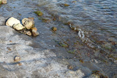 Фото каменного пляжа на Алчаке
