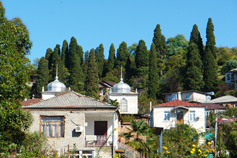 Абхазия. Кипарисы над старым Сухумом