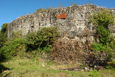 Абхазия. Сухуми. Замок Баграта. Южная стена